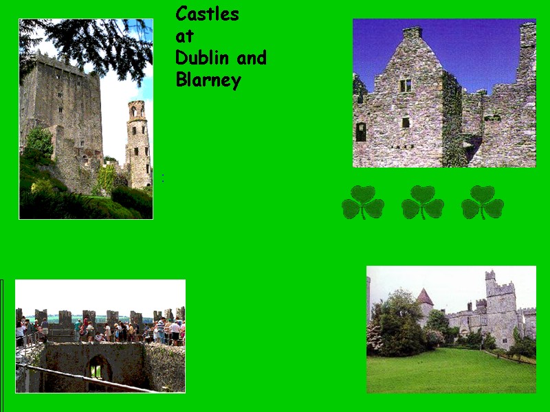 Castles           at Dublin and